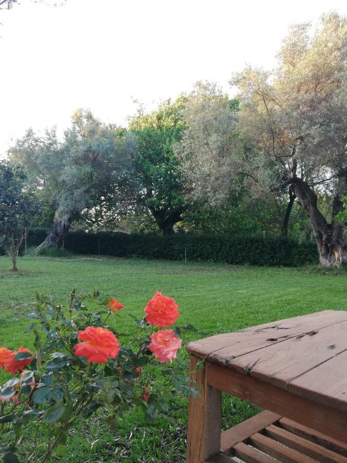 La Casa Di Caterina Lefkada City Exterior foto